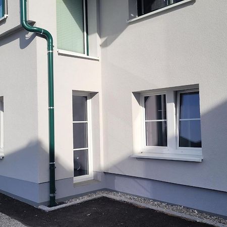 Pension Edelweiss, Apartment Amsterdam 4-6 Pers Gosau Εξωτερικό φωτογραφία