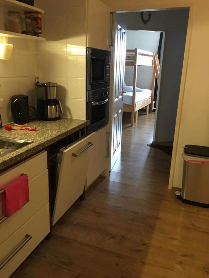 Pension Edelweiss, Apartment Amsterdam 4-6 Pers Gosau Εξωτερικό φωτογραφία